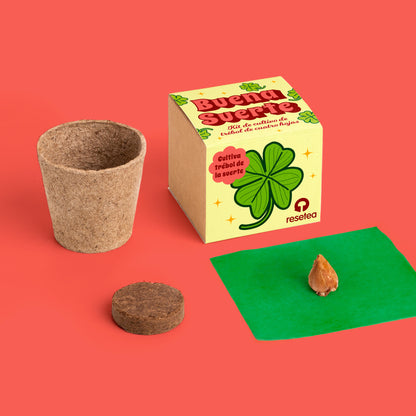 Buena Suerte | Kit Cultivo Trébol De 4 Hojas | Cultiva Tu Amuleto Natural En Casa | Regalo Original_1