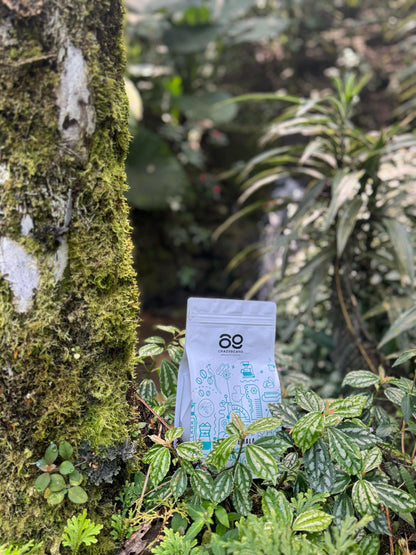 Cafe De Especialidad En Grano. Guatemala Caturra, bourbon. 100% Arábica. Lavado Con Fermentación. 1600m. 84 Puntos_5