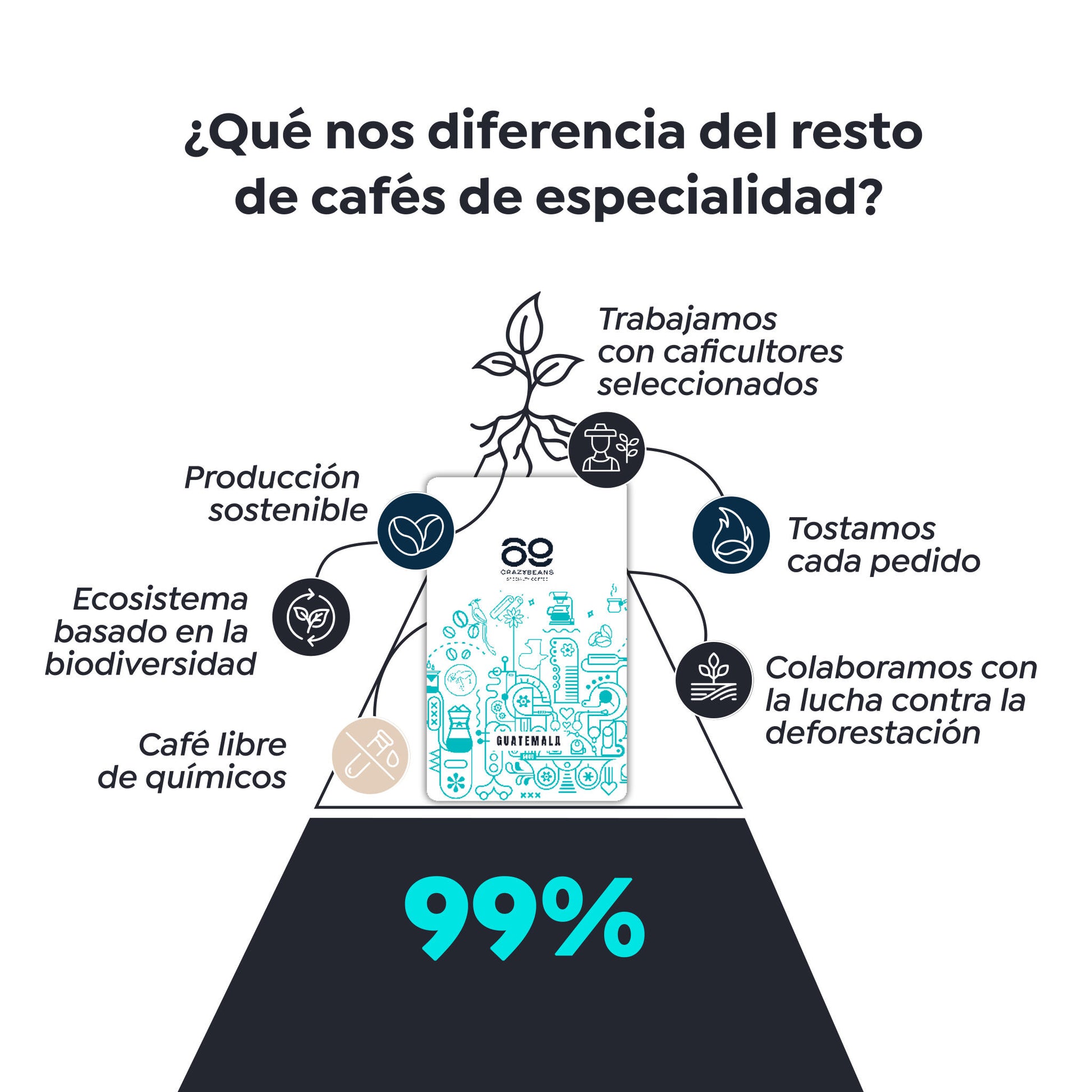 Cafe De Especialidad En Grano. Guatemala Caturra, bourbon. 100% Arábica. Lavado Con Fermentación. 1600m. 84 Puntos_2