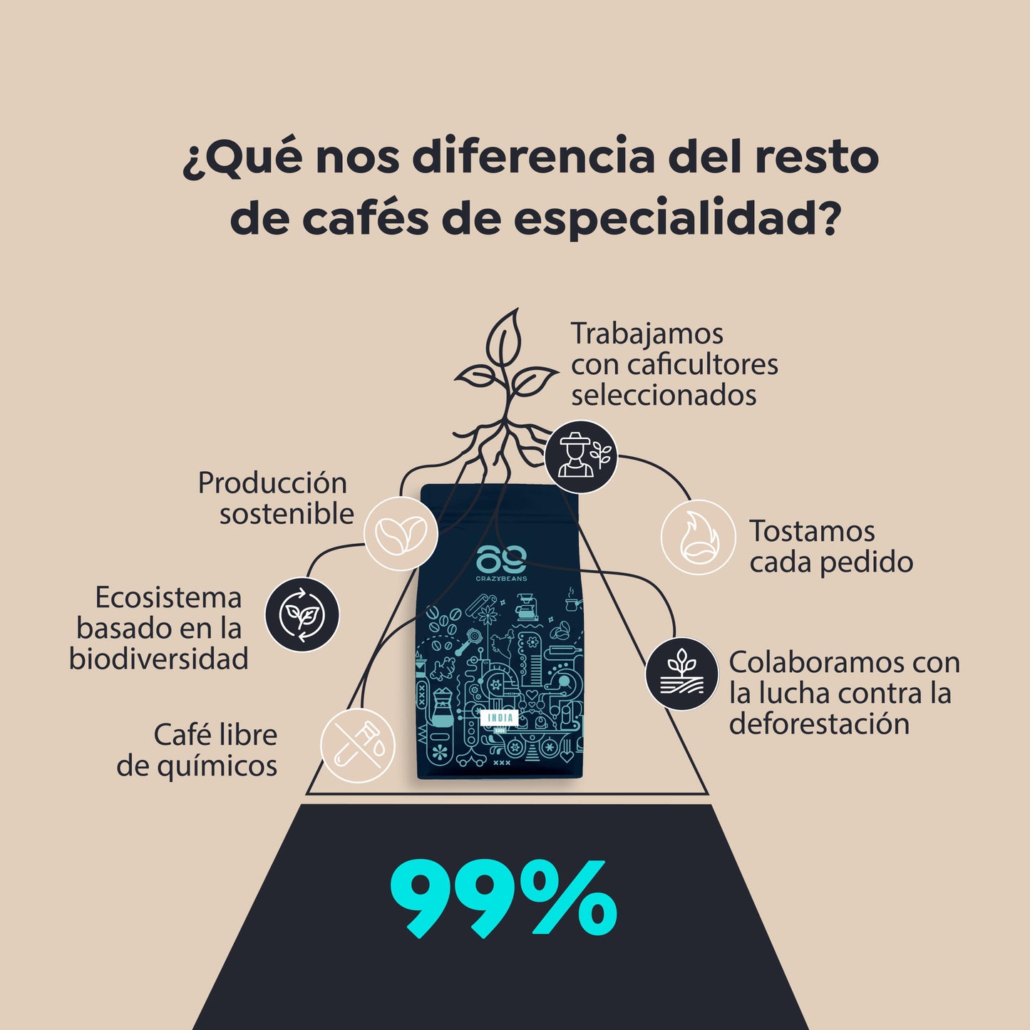 Cafe De Especialidad En Grano. Indian Sarchimor. 100% Arábica. Natural. Fermentación. 84 Puntos Sca_2