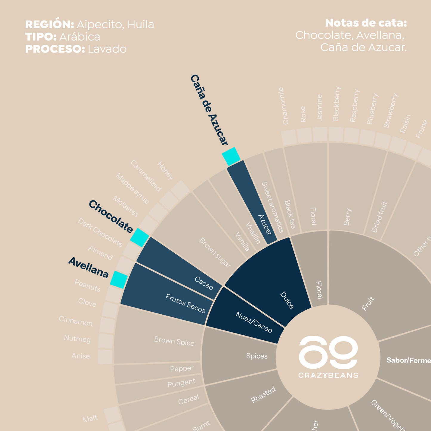 Cafe de Especialidad en grano | Colombia | 100% Arábica | 84 puntos| Cafe en grano natural arabica_1