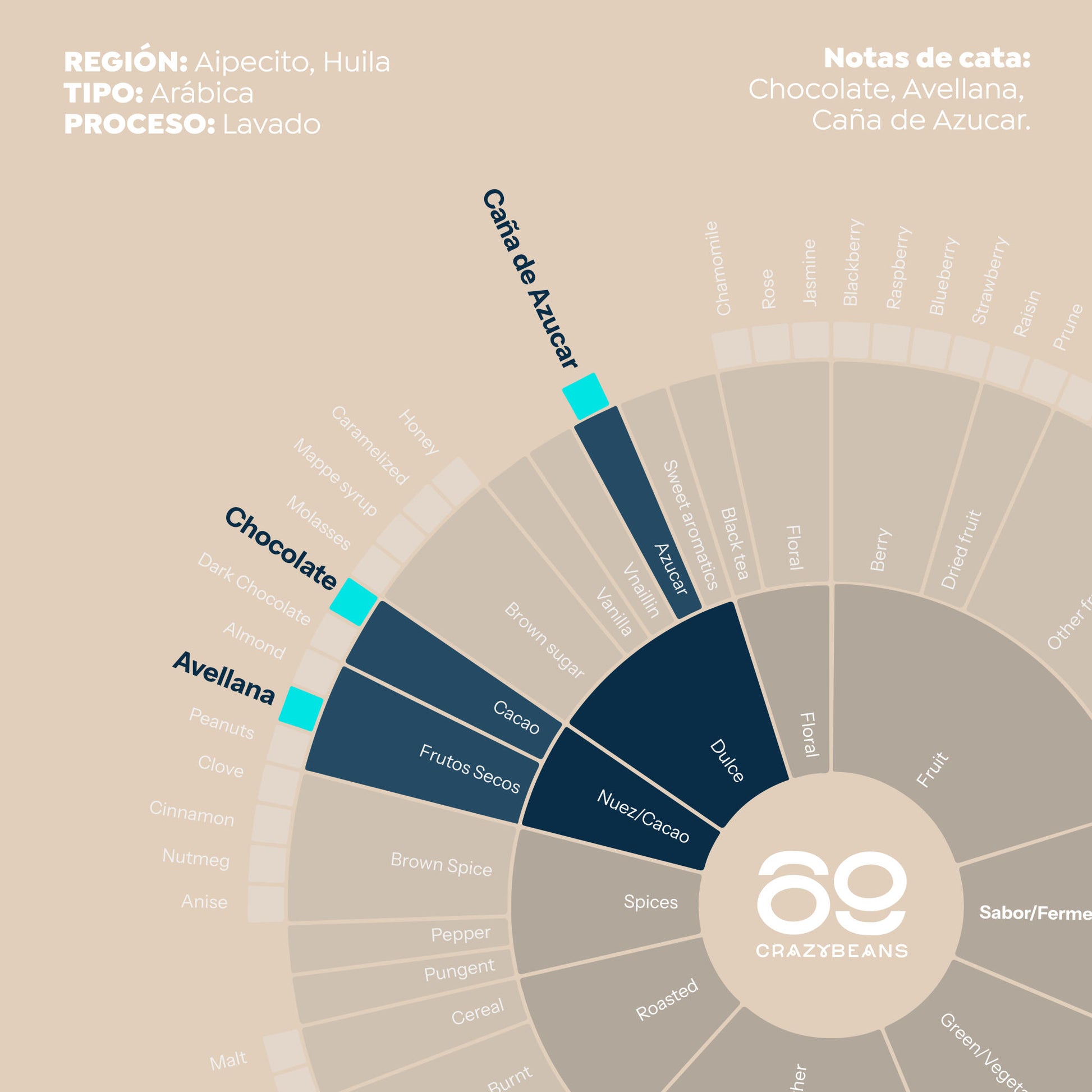 Cafe de Especialidad en grano | Colombia | 100% Arábica | 84 puntos| Cafe en grano natural arabica_1