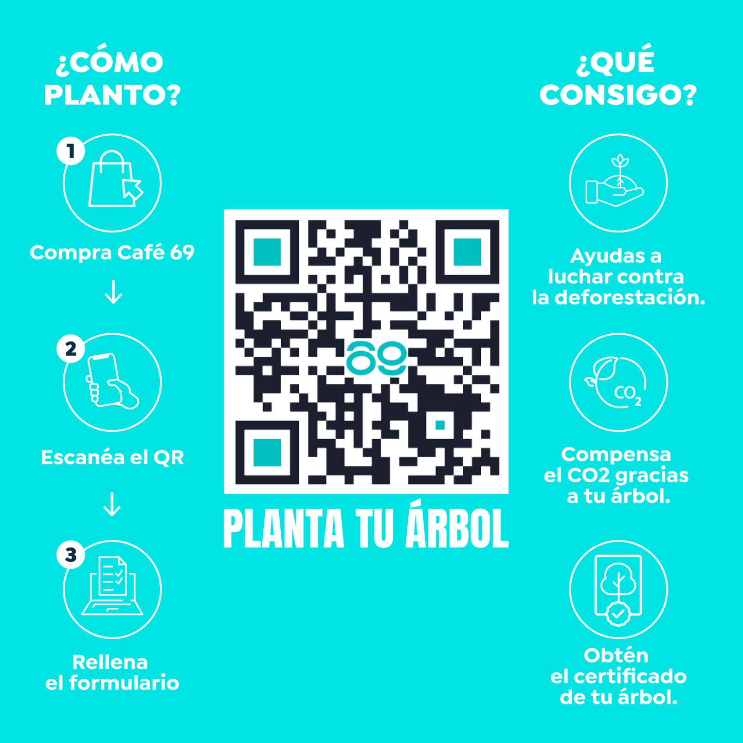 Cafe de Especialidad en grano | Colombia | 100% Arábica | 84 puntos| Cafe en grano natural arabica_2