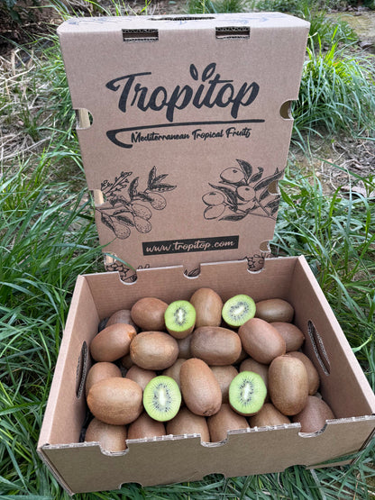 Caja De Kiwis Verde De Temporada Tropitop Caja De 15kg_1