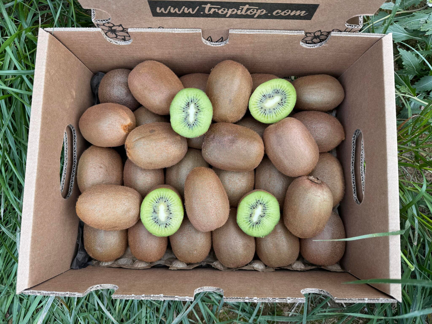 Caja De Kiwis Verde De Temporada Tropitop Caja De 15kg_2
