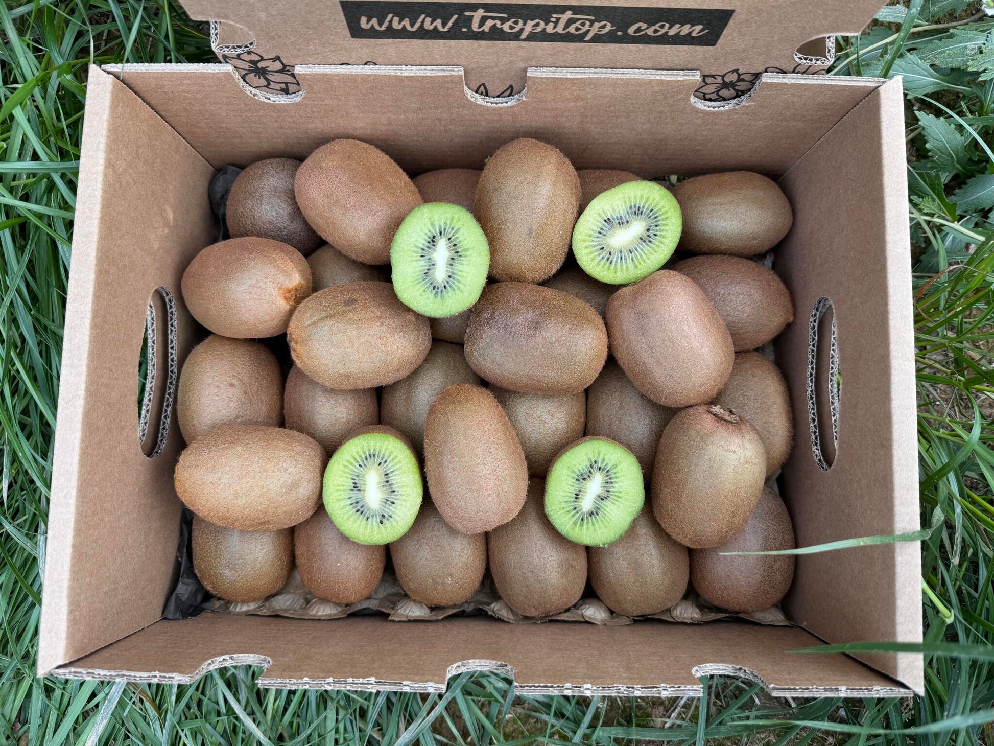 Caja De Kiwis Verde De Temporada Tropitop Caja De 15kg_2