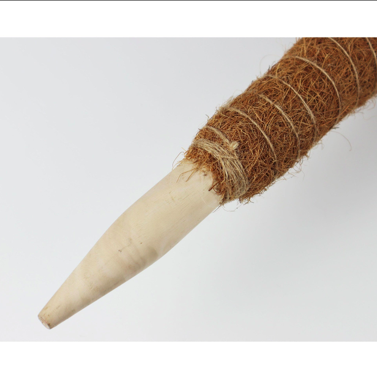 Pack 2x Tutor de coco natural Ø 52 mm Biotop 60 cm