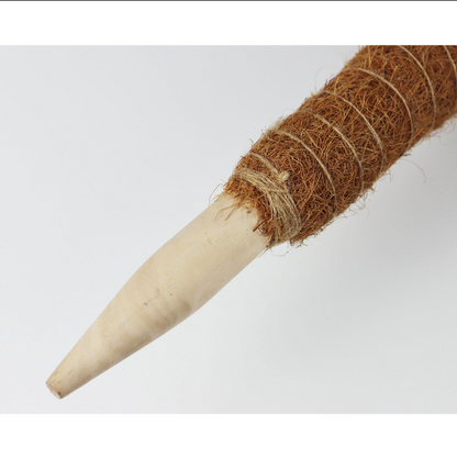 Pack 2x Tutor de coco natural Ø 52 mm Biotop 60 cm