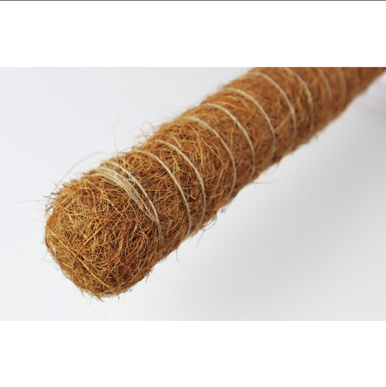 Pack 2x Tutor de coco natural Ø 52 mm Biotop 60 cm