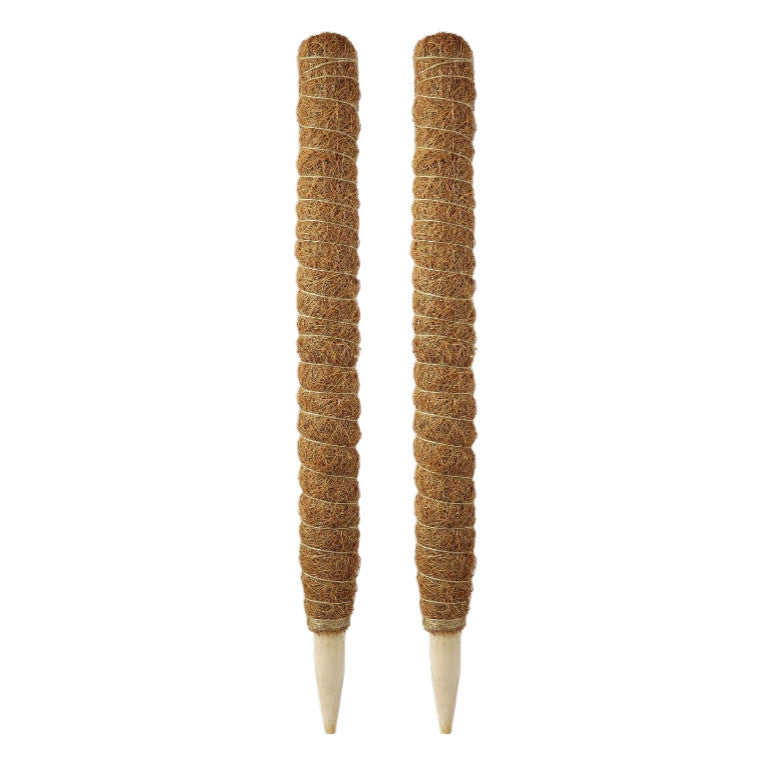 Pack 2x Tutor de coco natural Ø 52 mm Biotop 60 cm