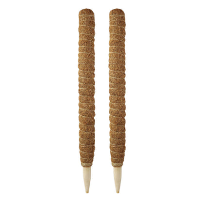 Pack 2x Tutor de coco natural Ø 52 mm Biotop 60 cm