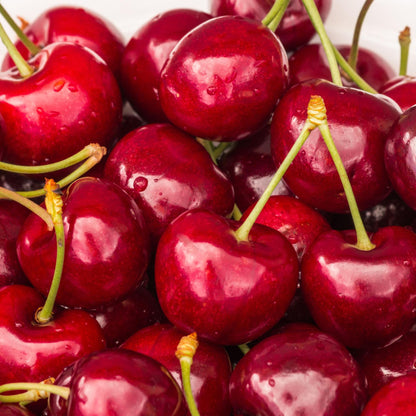 Cerezo - Prunus Avium 'stella' - Cereza Dulce - Altura 90-110cm - ⌀23cm_4