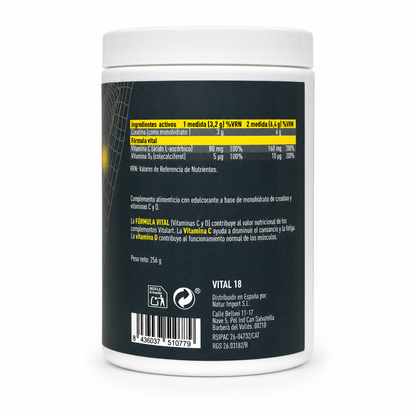 Creatina Creavitalis 200 Mesh Vitalart 256 g