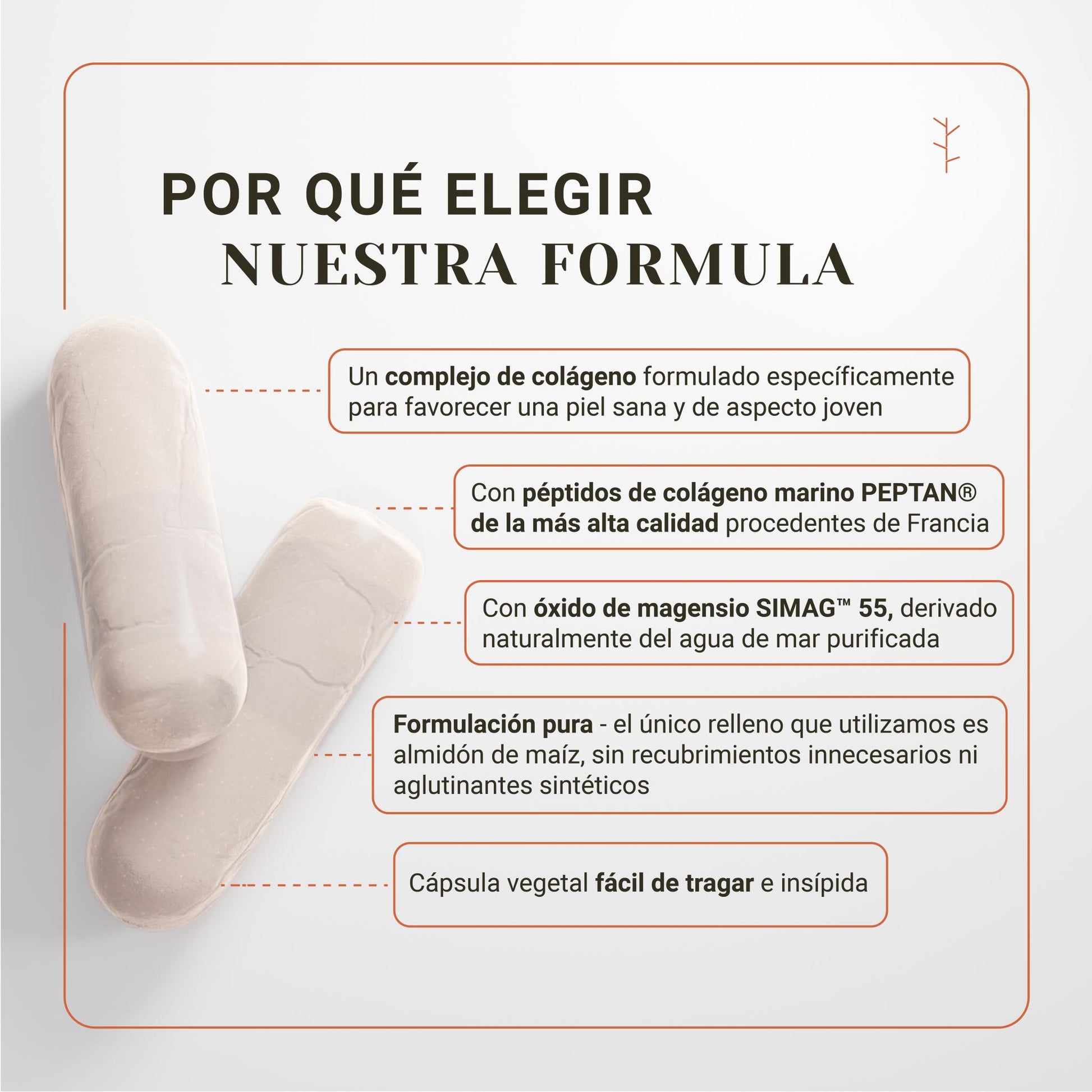 Colágeno Marino Con Ácido Hialurónico Y Magnesio – Nullure – Hidratación, Antiarrugas Y Piel Firme (120 Cápsulas)_2