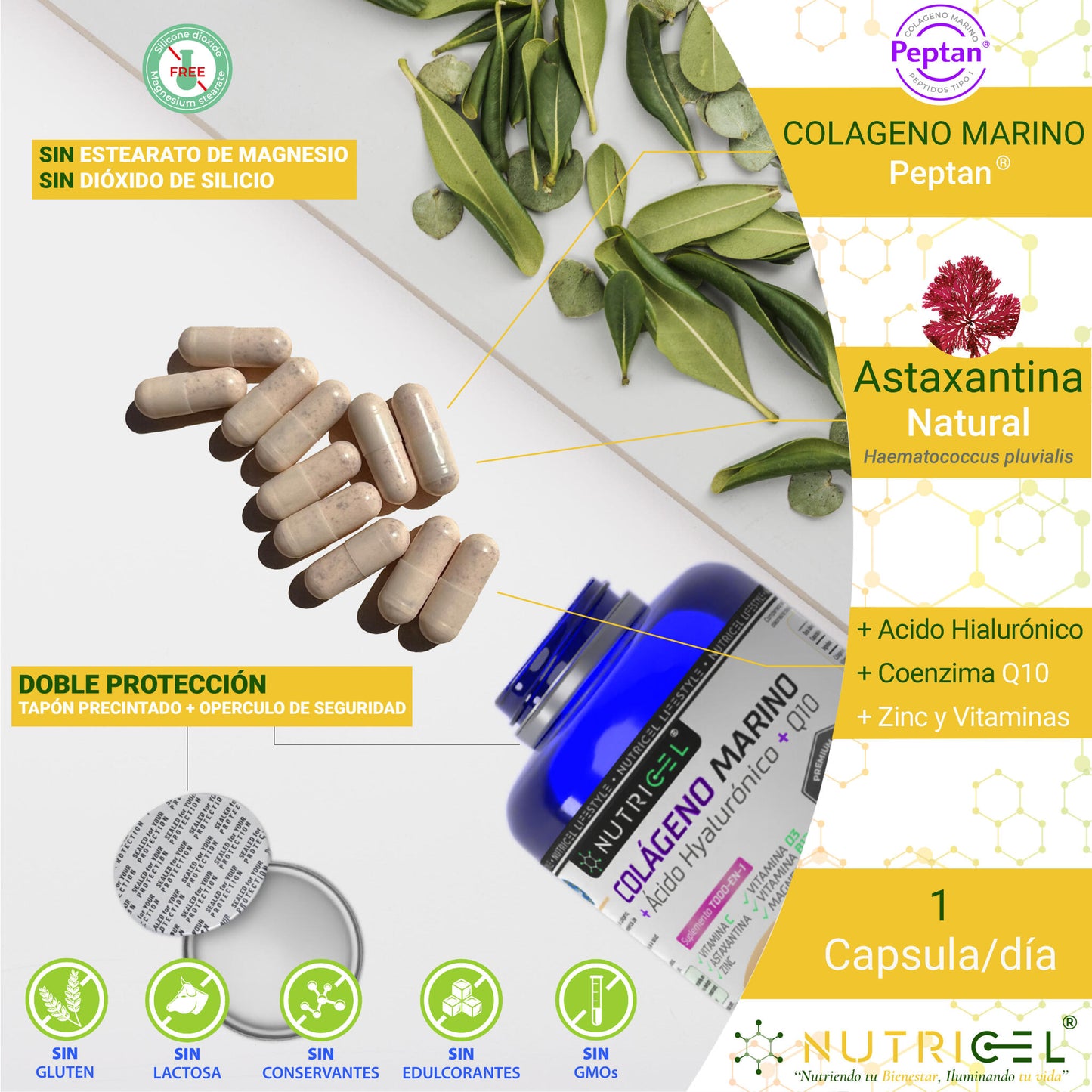 Colágeno Marino Peptan® Con Acido Hialurónico, Q10 Y Astaxantina_1
