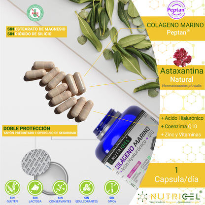 Colágeno Marino Peptan® Con Acido Hialurónico, Q10 Y Astaxantina_1