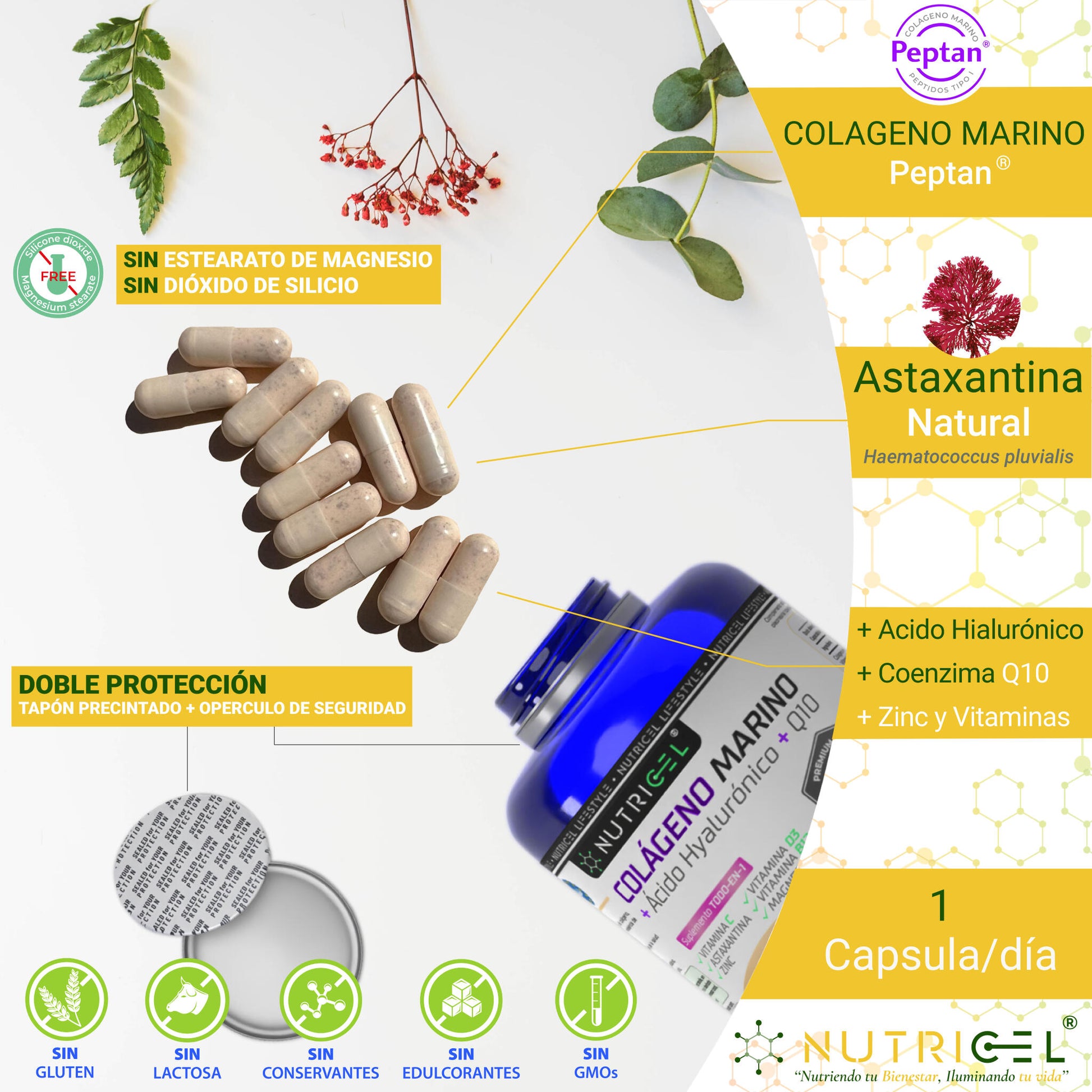 Colágeno Marino Peptan® Con Acido Hialurónico, Q10 Y Astaxantina_3