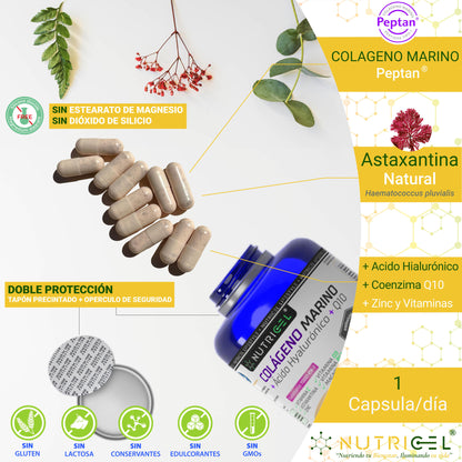 Colágeno Marino Peptan® Con Acido Hialurónico, Q10 Y Astaxantina_3