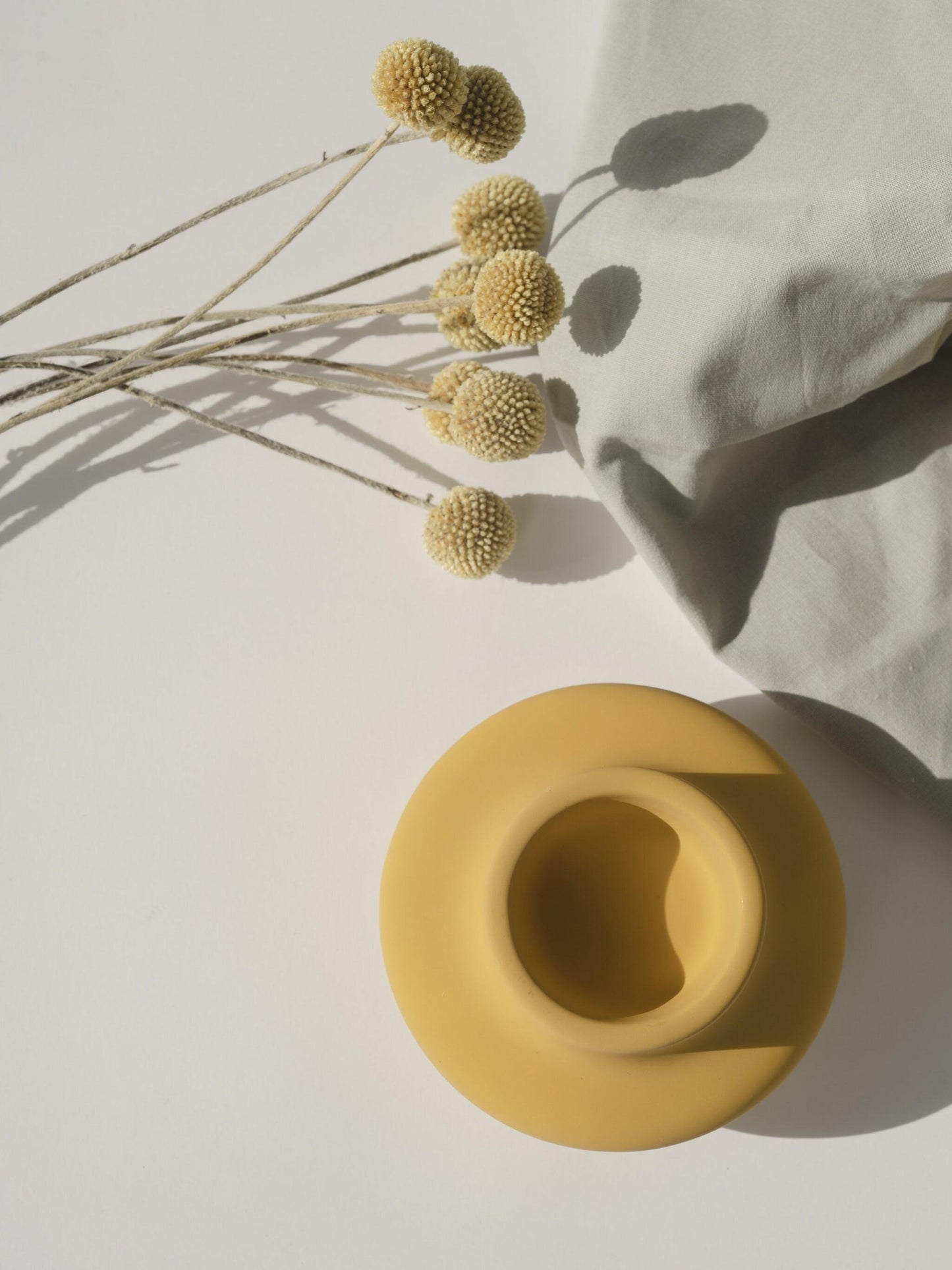 Craspedia Preservada_3