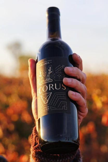 Decorus Valdura 2021, Vino Tinto De Viñas Viejas D.o. Arlanza. 75cl._1