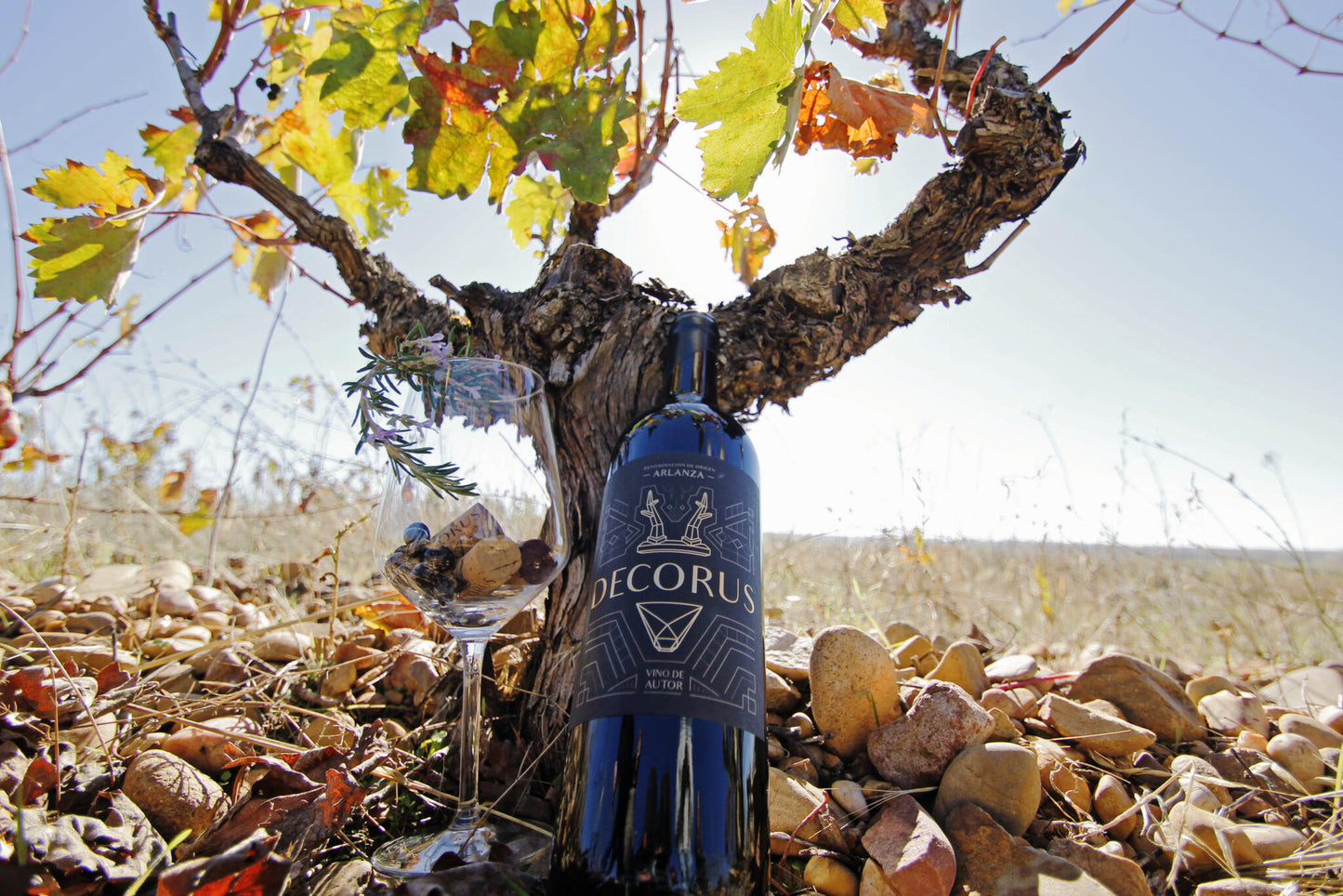 Decorus Valdura 2021, Vino Tinto De Viñas Viejas D.o. Arlanza. 75cl._2