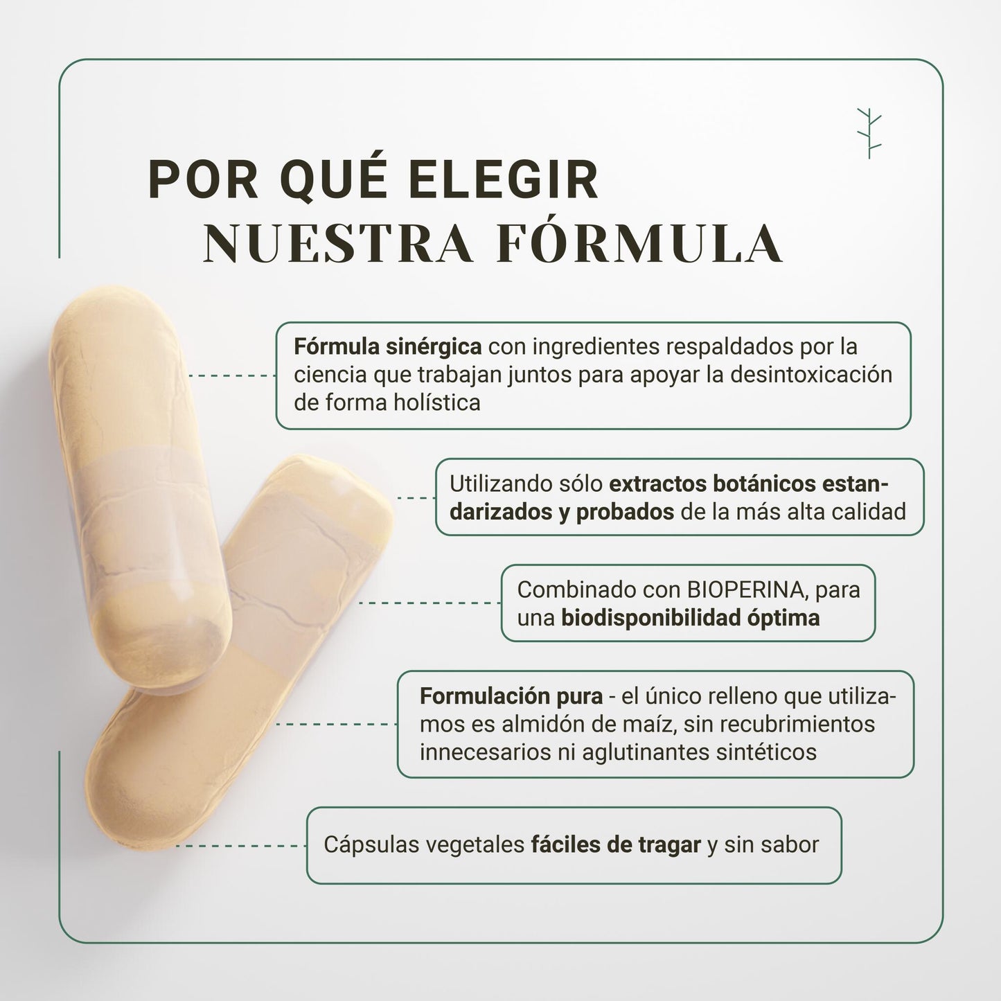 Detox natural nullure – limpieza de hígado y colon, salud digestiva con probióticos (120 cápsulas)_2