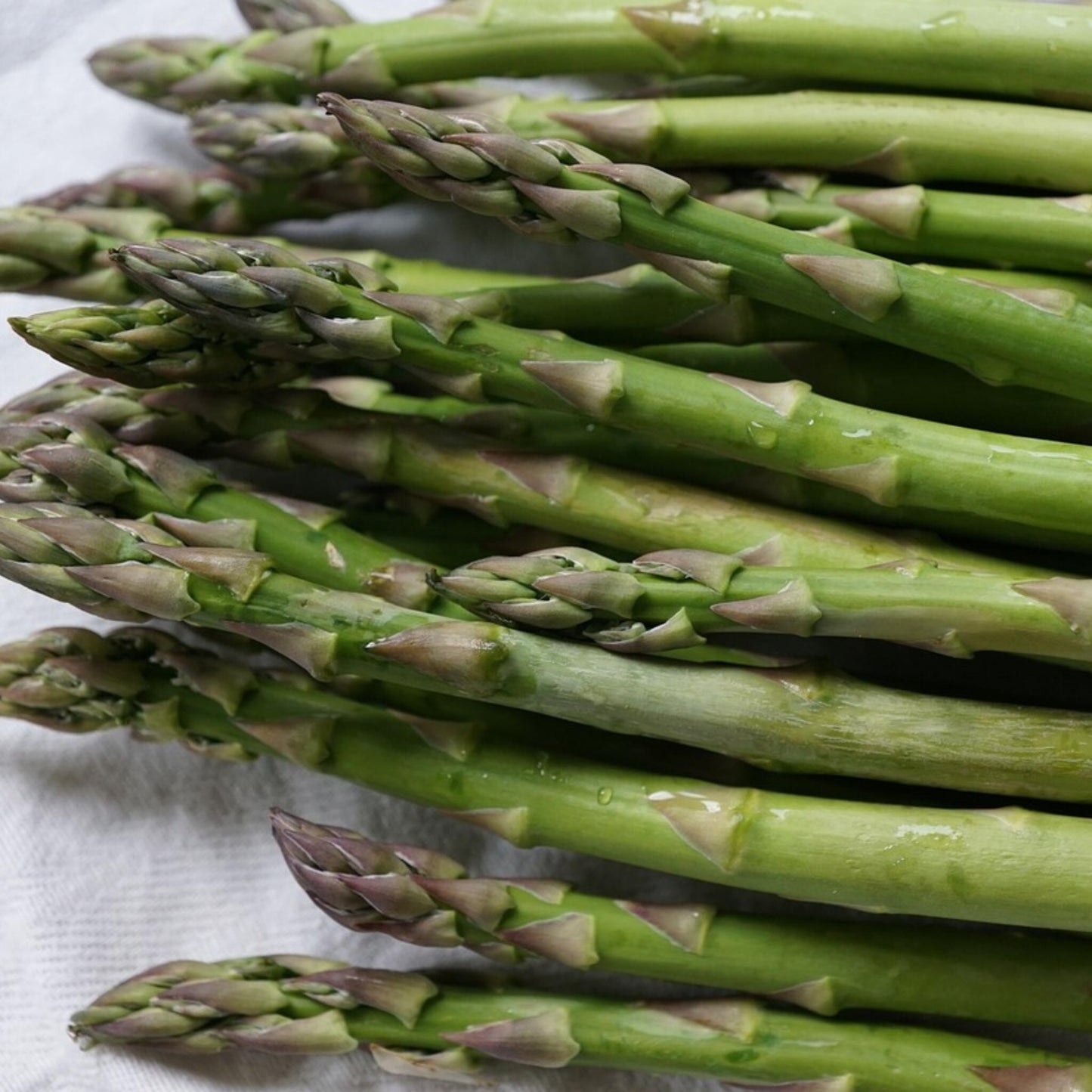 Espargo - 3 Pzs - Asparagus 'gijnlim' - Cepellones - Verde_3