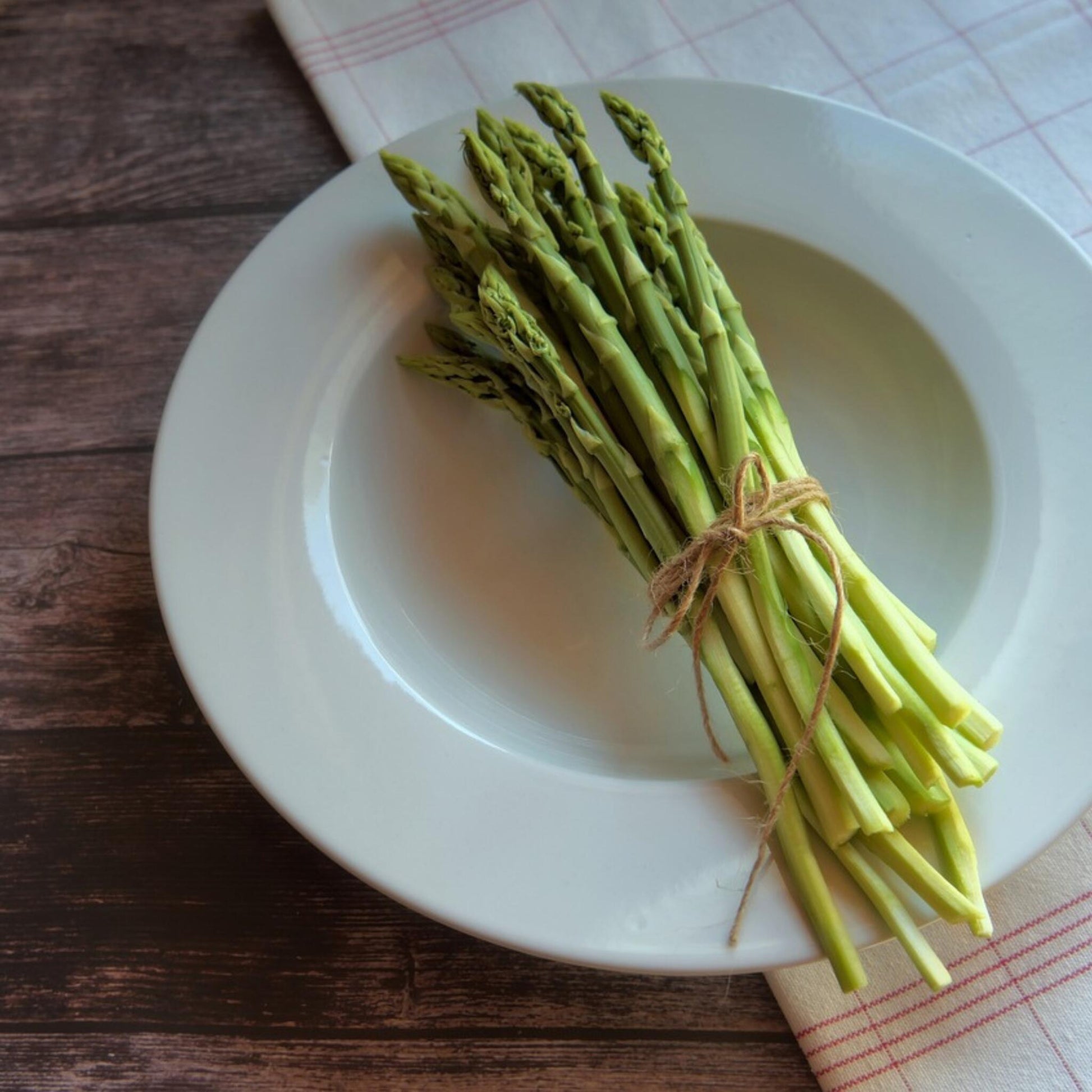 Espargo - 4 Pzs - Asparagus 'gijnlim' - Cepellones - Verde_1