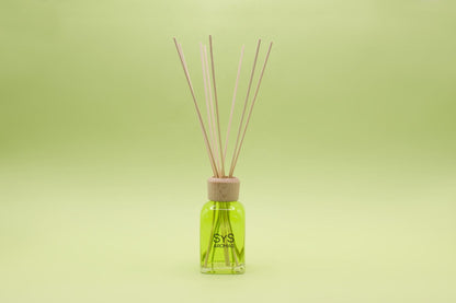 Estuche Ambientador Mikado Raíz de Angélica 100 ml | Difusor de Varillas | Fragancia Herbal y Elegante_1