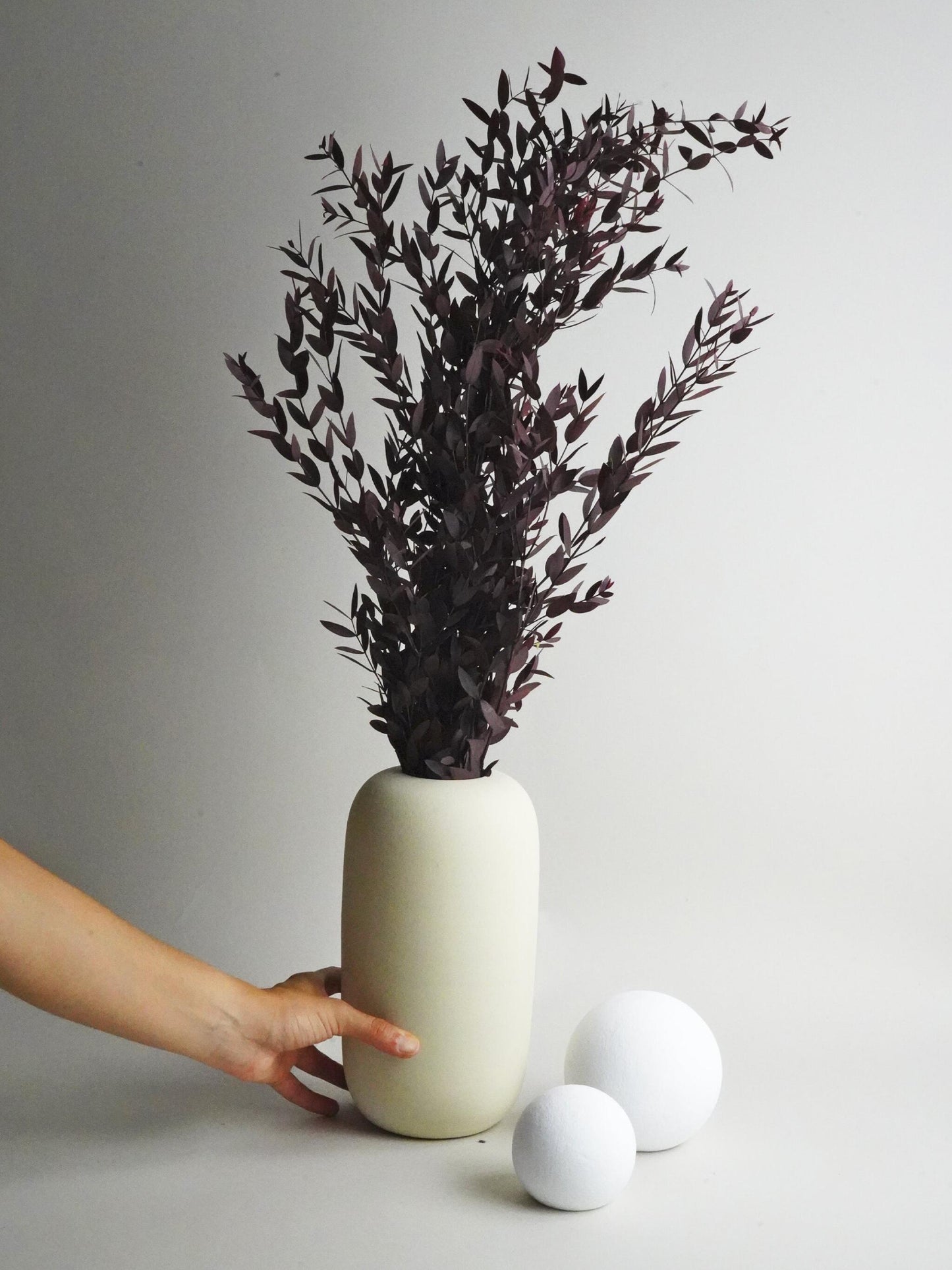 Eucalipto Parvifolia Preservado_0