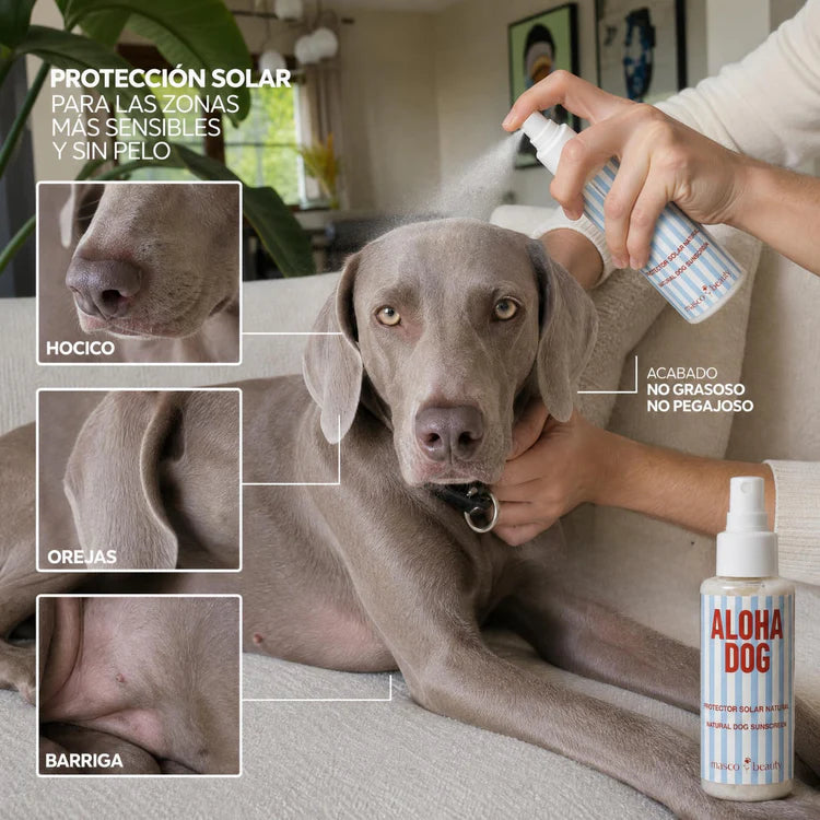 Protector solar para perros SPF 30 Masco Beauty 100 ml