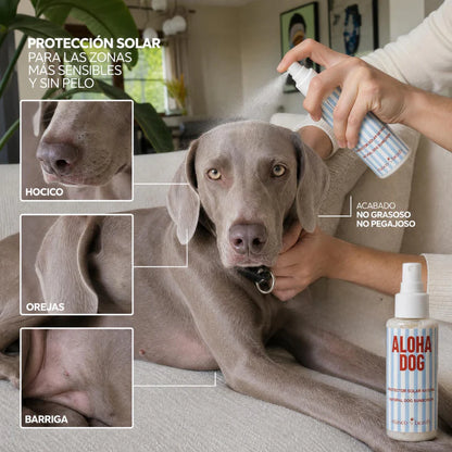Protector solar para perros SPF 30 Masco Beauty 100 ml