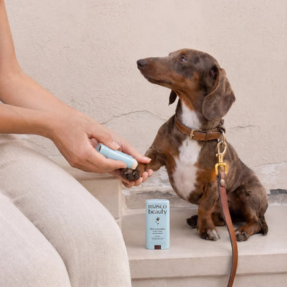 Stick para almohadillas de perros Masco Beauty 15 ml
