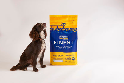 Fish4dogs Pienso Para Perro Adulto Sin Cereales – Pescado Blanco Y Patata 1,5 Kg_3