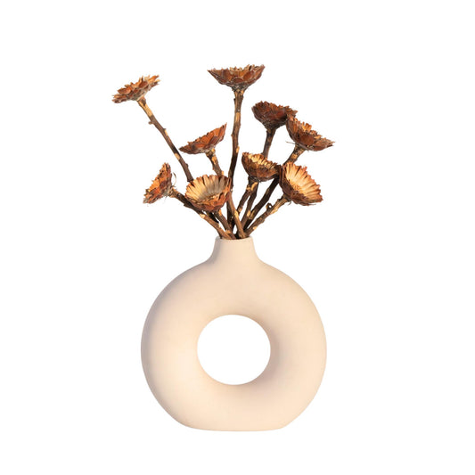 Flores Secas - 10 Pzs - Ramo 'protea Compacta'_0