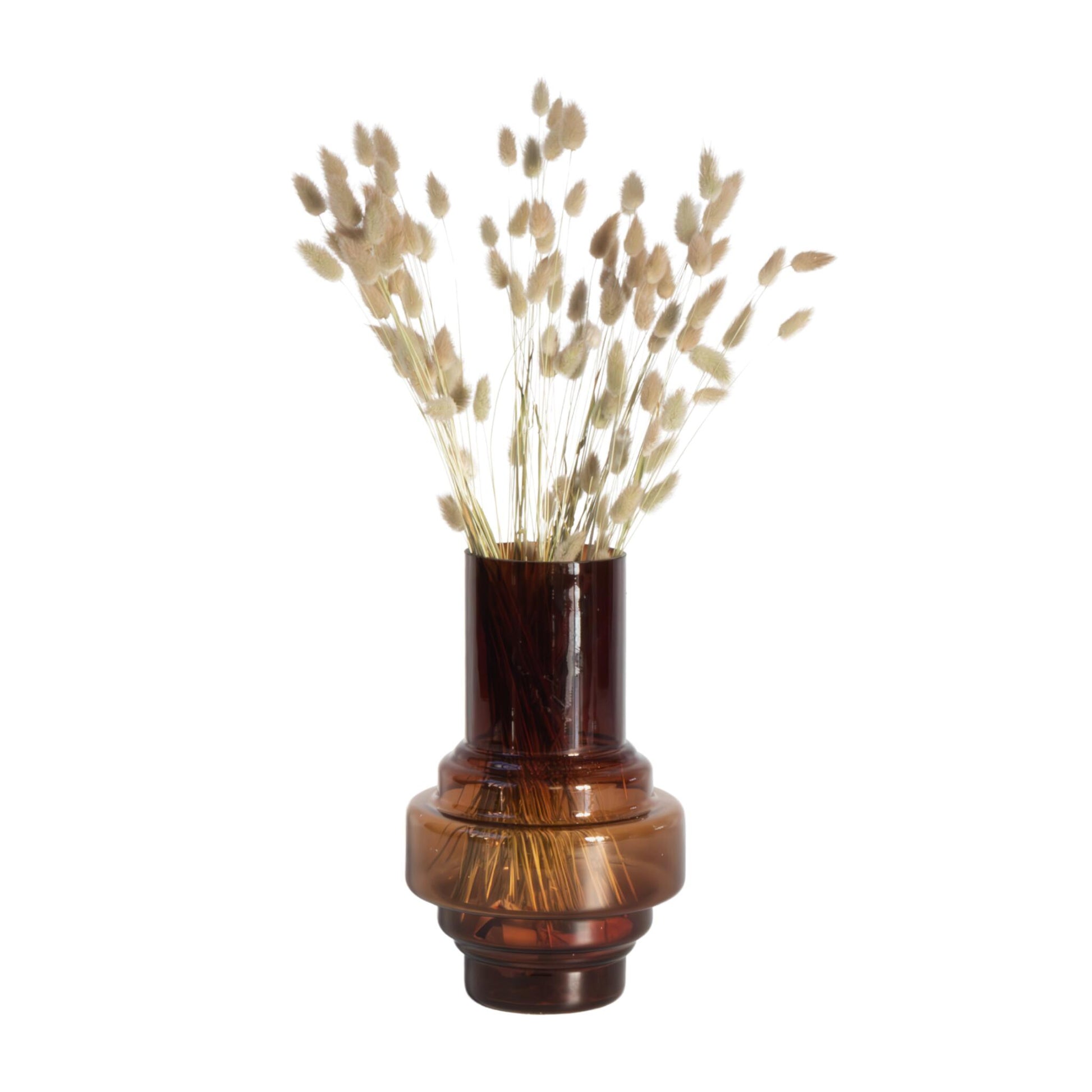 Flores Secas - Ramo 'lagurus Bunny Ears'_0