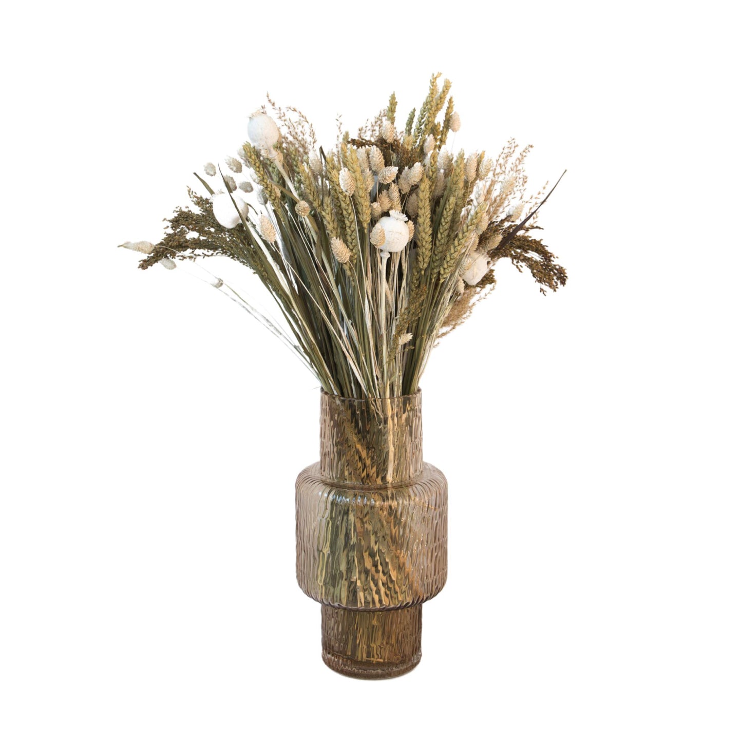 Flores Secas - Ramo 'large Bodhi'_0