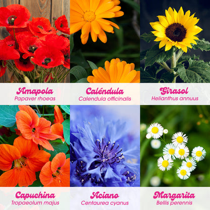Flower Power Kit Cultivo Flores Amapola, Caléndula, Girasol, Capuchina, Aciano y Margarita - Resetea_4