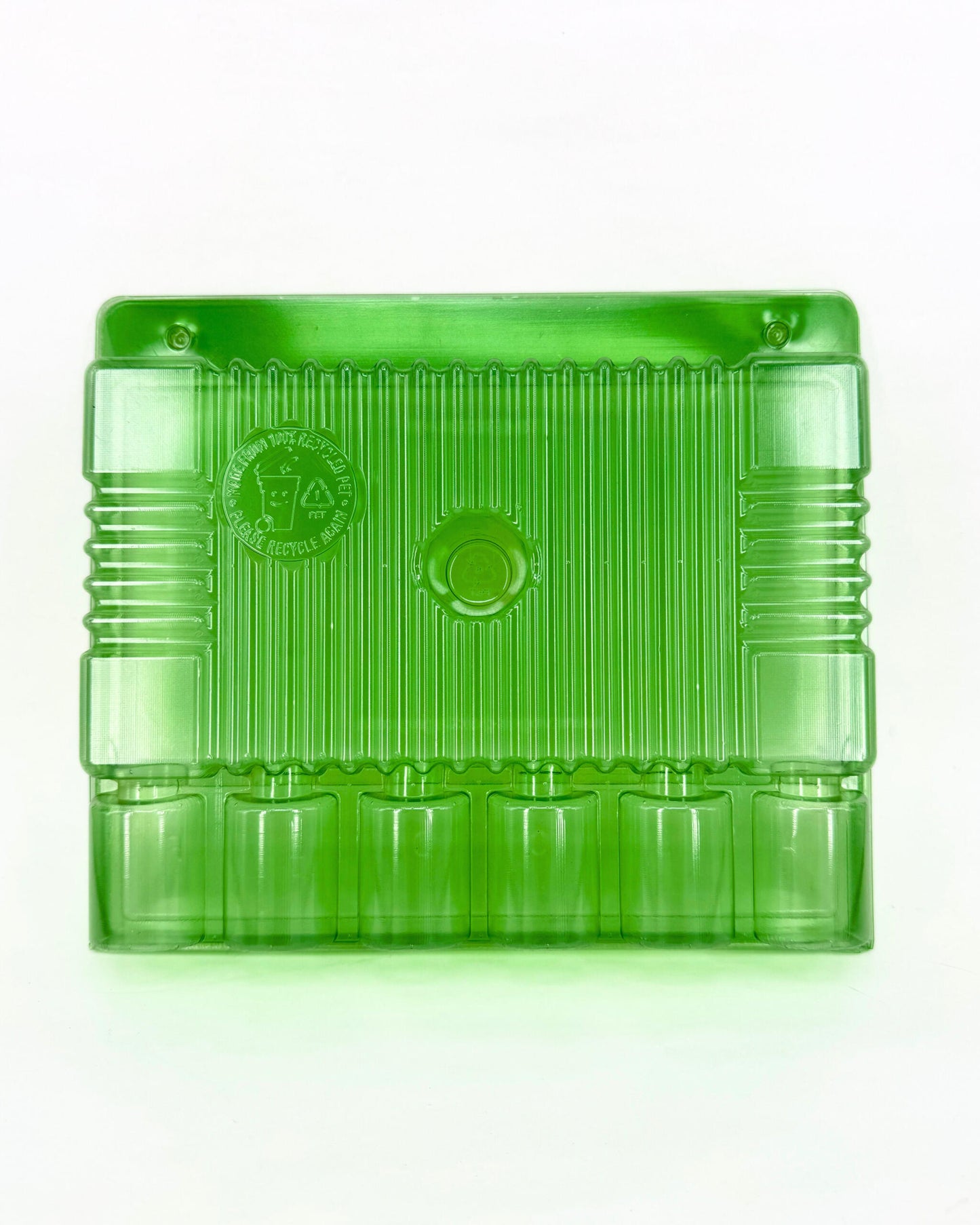 Funda Para 6 Esquejes – Transporte Seguro Y Visible | Verde Transparente, 28,5 Cm_1
