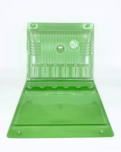 Funda Para 6 Esquejes – Transporte Seguro Y Visible | Verde Transparente, 28,5 Cm_2