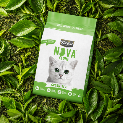 Pack 6 Kit Cat Arena Eco Nova Clump - Green Tea 7 L Arena para gatos - Fresco y Herbal