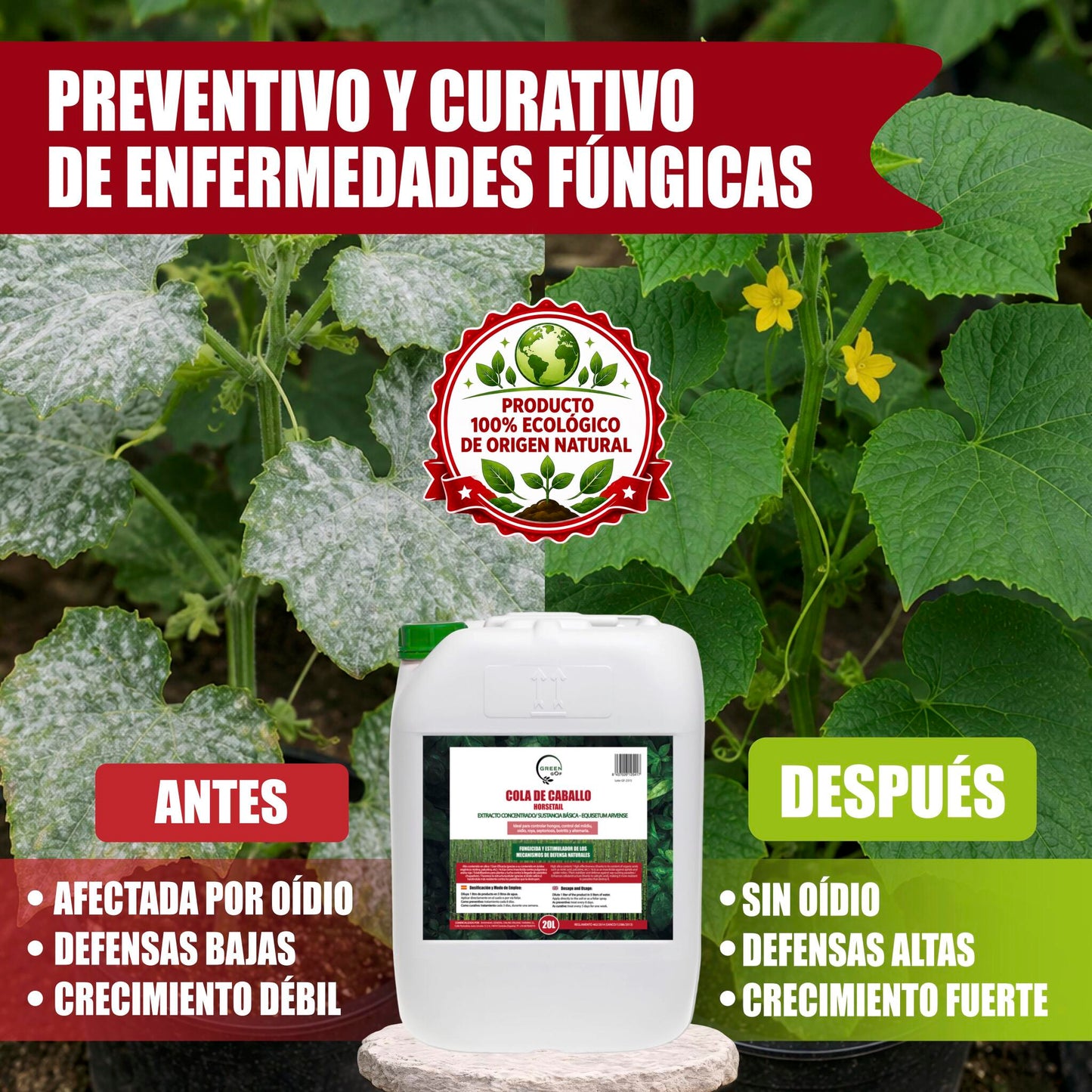 GREEN GOF Cola De Caballo, 20L. Fungicida, Bioestimulante, Orgánico y 100% Natural. Preventivo y Curativo._5