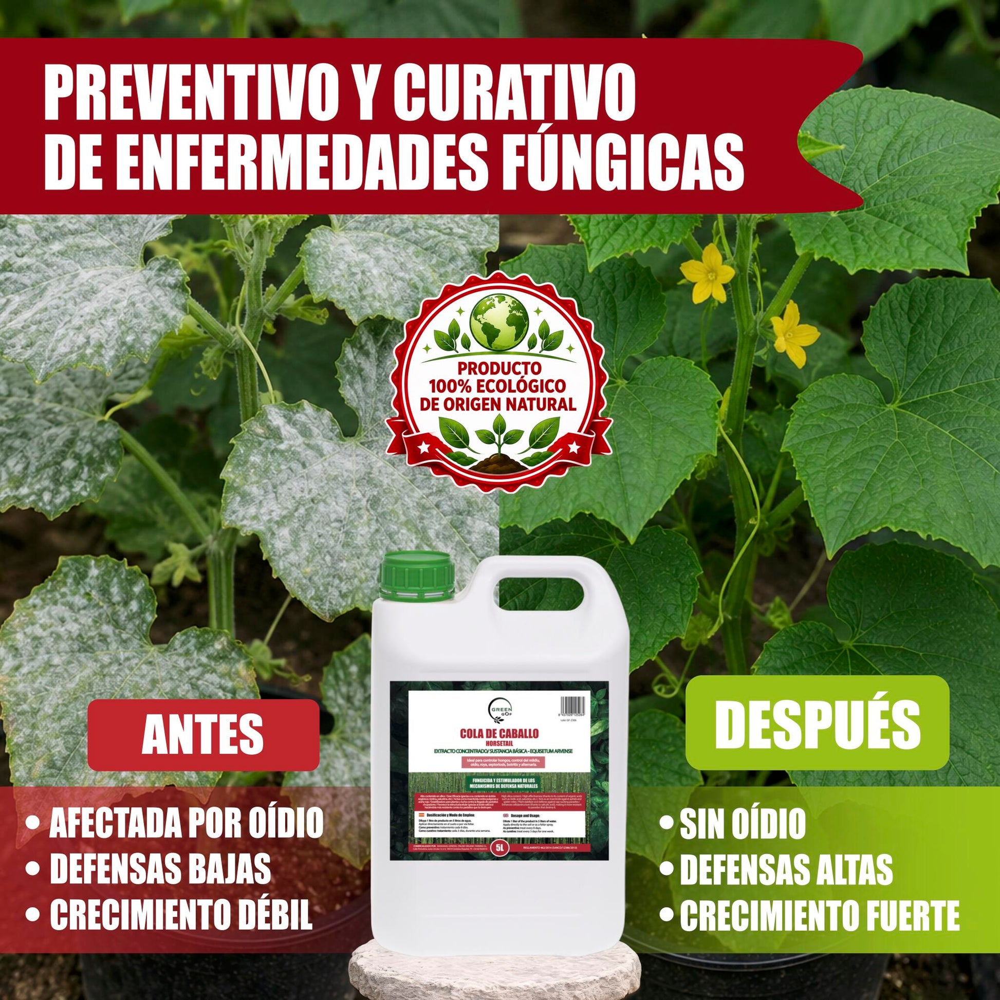 GREEN GOF Cola De Caballo,5L. Fungicida, Bioestimulante, Orgánico y 100% Natural. Preventivo y Curativo._5