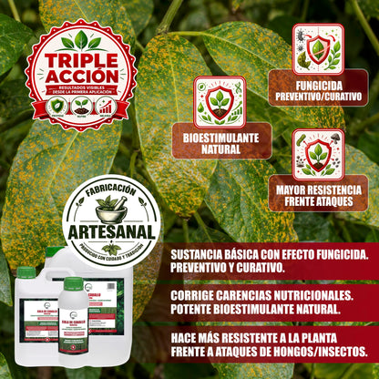GREEN GOF Cola De Caballo,5L. Fungicida, Bioestimulante, Orgánico y 100% Natural. Preventivo y Curativo._2
