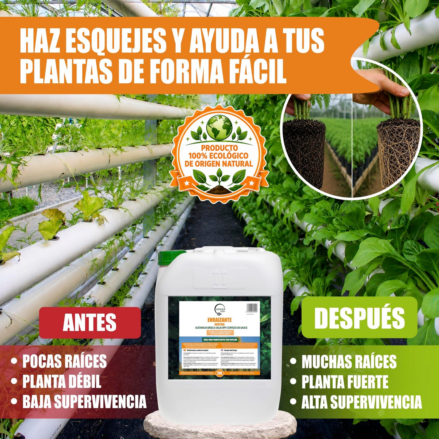 GREEN GOF Enraizante Líquido, 20L. Orgánico con Hormonas Naturales. Estimula y Aumenta el Crecimiento de Raíces._5