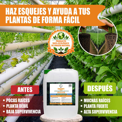 GREEN GOF Enraizante Líquido, 20L. Orgánico con Hormonas Naturales. Estimula y Aumenta el Crecimiento de Raíces._5