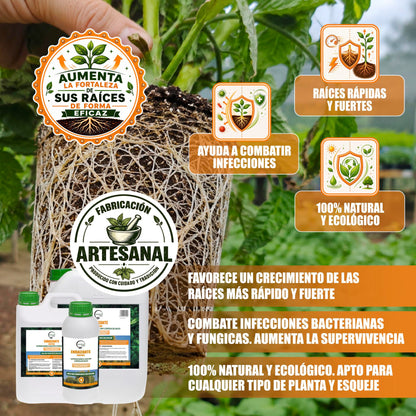 GREEN GOF Enraizante Líquido, 20L. Orgánico con Hormonas Naturales. Estimula y Aumenta el Crecimiento de Raíces._2