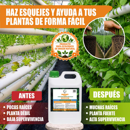 GREEN GOF Enraizante Líquido, 5L. Orgánico con Hormonas Naturales. Estimula y Aumenta el Crecimiento de Raíces._5