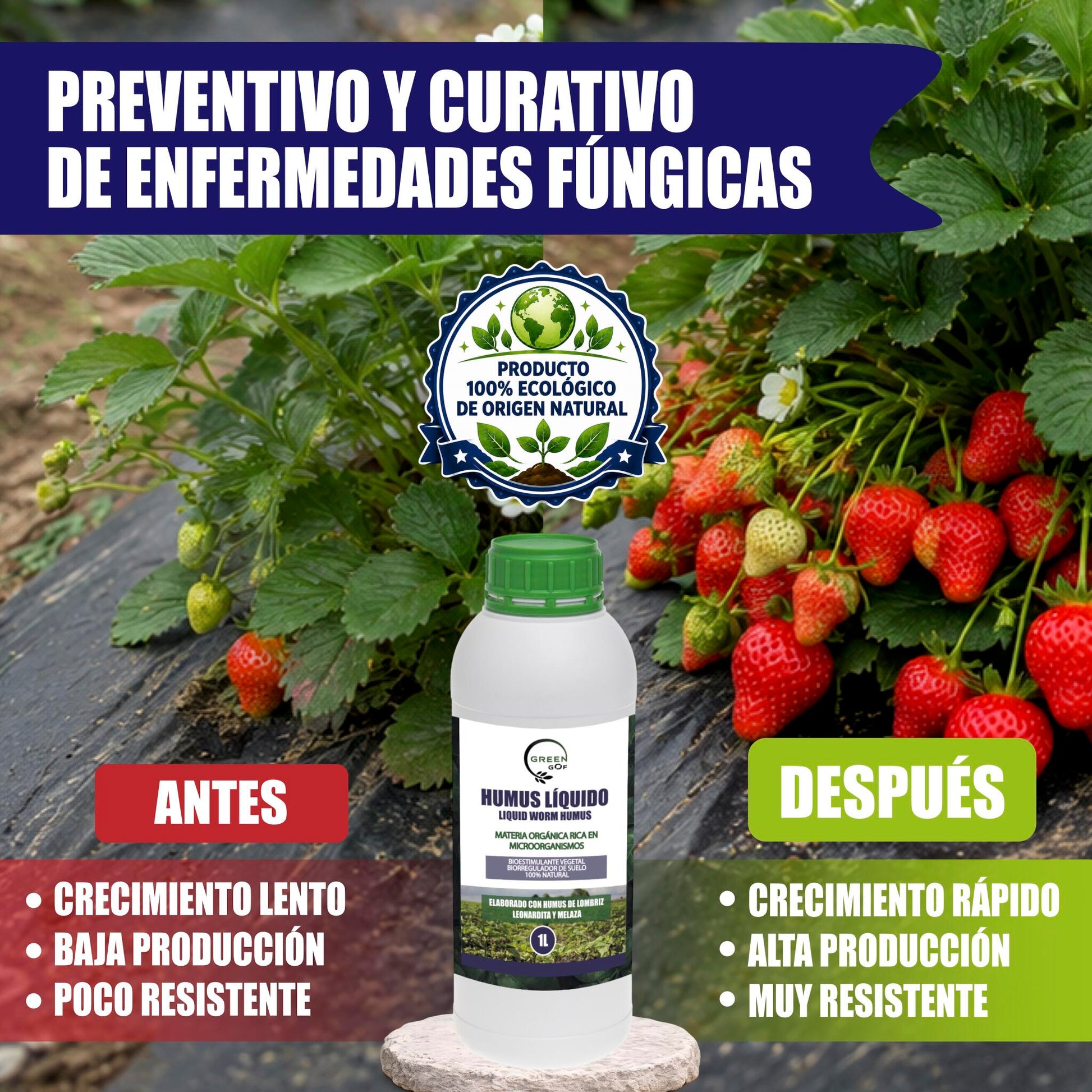 GREEN GOF Humus Líquido De Lombriz Premium 1l. Enriquecido Con Leonardita Y Melaza. Fertilizante Rico En Microorganismos_4