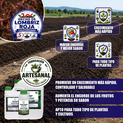 GREEN GOF Humus Líquido De Lombriz Premium 1l. Enriquecido Con Leonardita Y Melaza. Fertilizante Rico En Microorganismos_2